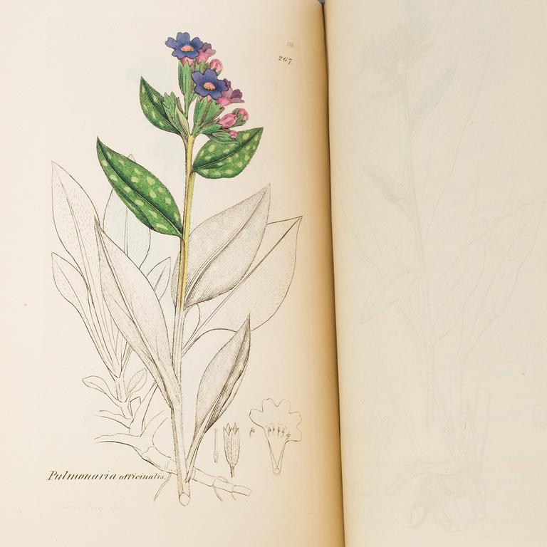 BÖCKER, 12 volymer, "English Botany", Sir James Edward Smith, James Sowerby, London, 1832-46.