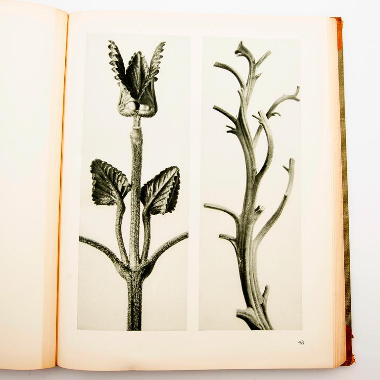 Book, "Art Forms in Nature", Karl Blossfeldt, Spamersche Buchdruckerei, Leipzig, 1930.