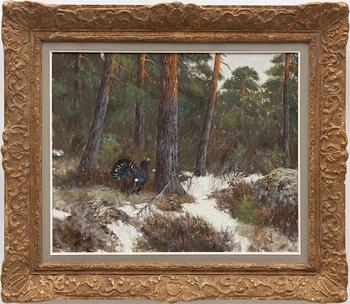 Johannes Ravn, Orrspel.