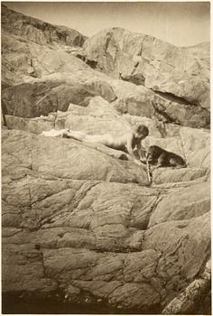 HENRY B. GOODWIN, 2 photo gravures with motif from the Stockholm archipelago.