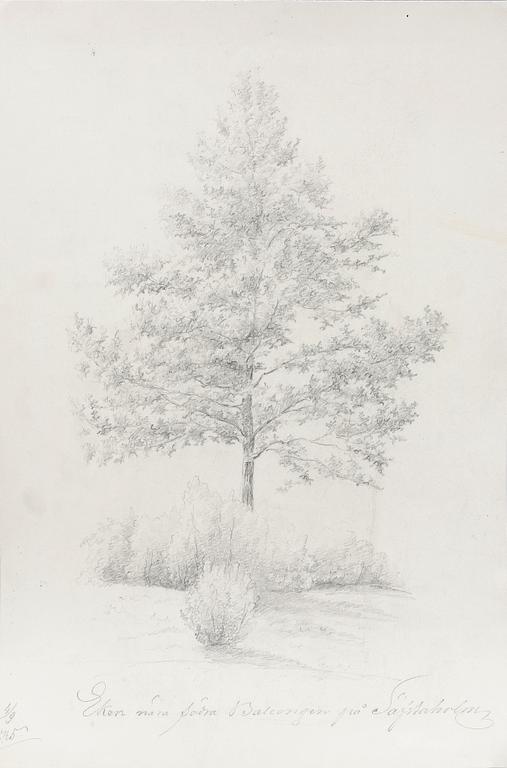 JOSEF WILHELM WALLANDER, tillskriven, blyerts, ej sign.
