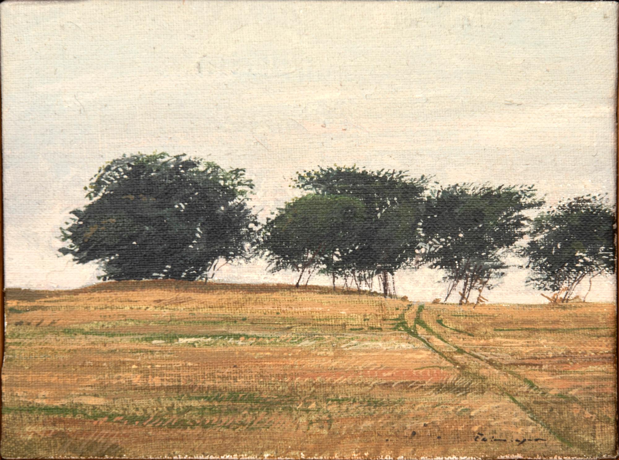 Gösta Calmeyer, untitled.