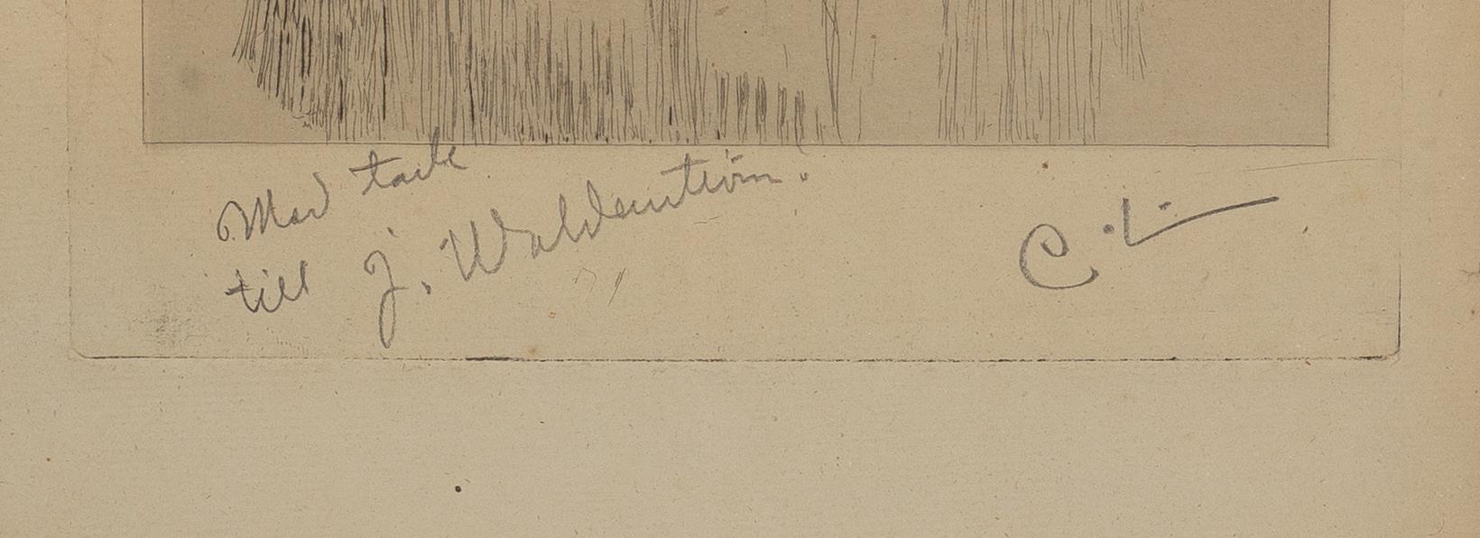 Carl Larsson, "Konstnärens moder".