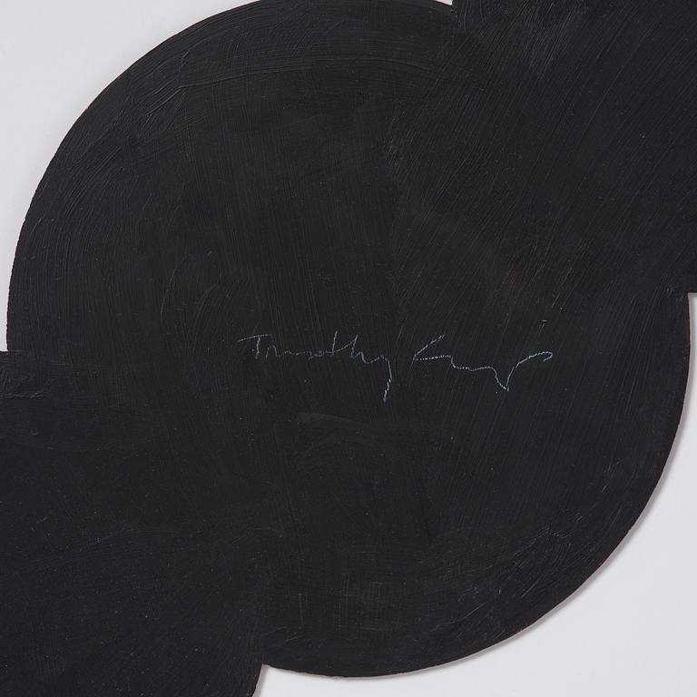 Timothy Crisp, "Lens Flare".