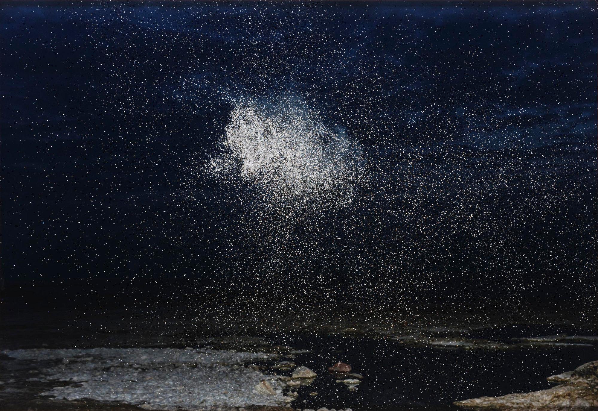 Inka & Niclas Lindergård, "Becoming Wilderness V", 2013.