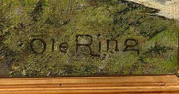Ole Ring, untitled.