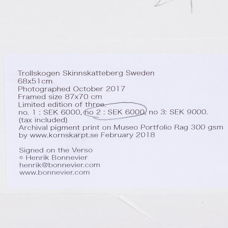 HENRIK BONNEVIER, C-print. Signed and dated 2018. Numbered 2/3.