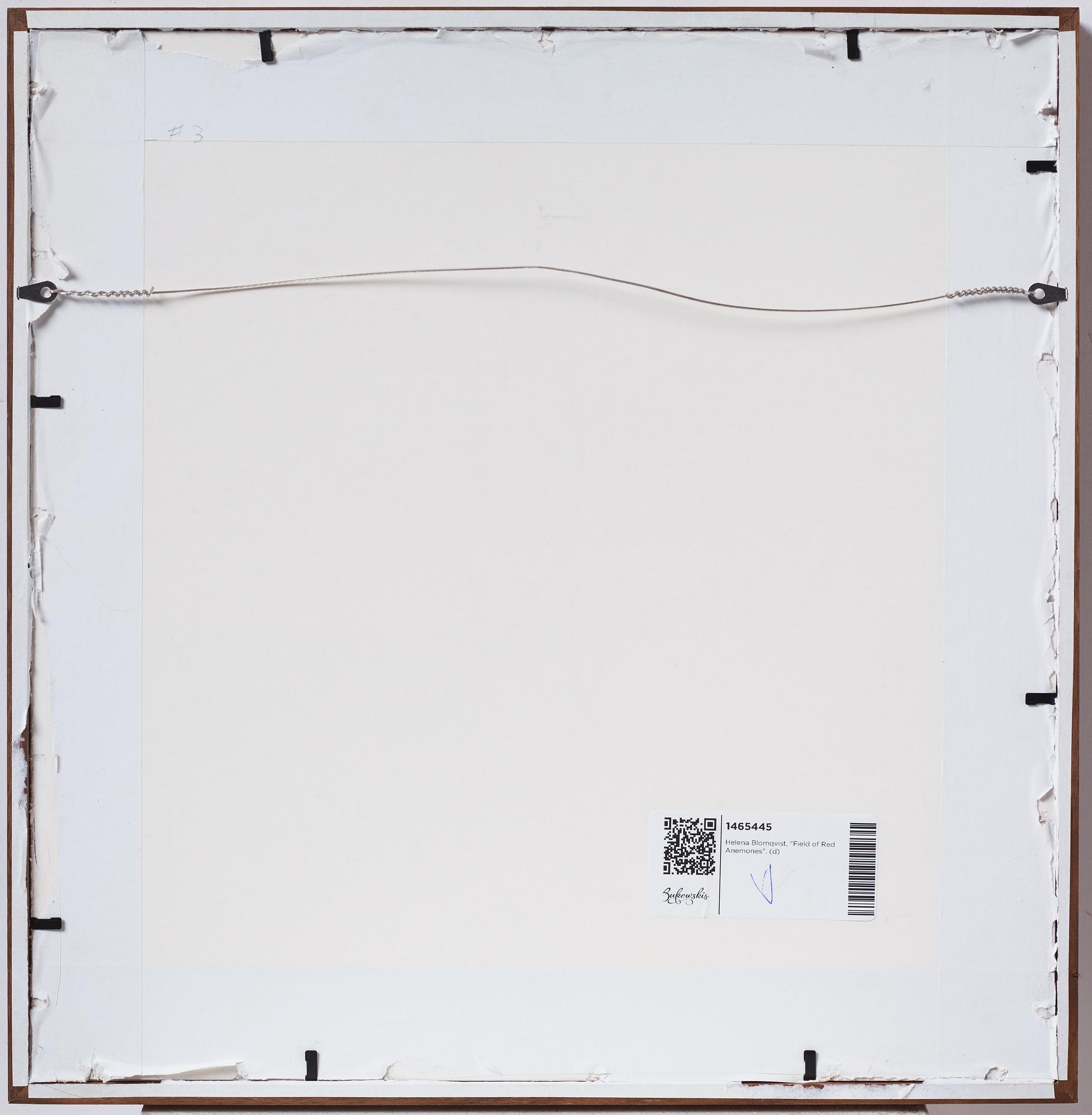 Helena Blomqvist, "Field of Red Anemones", 2012.