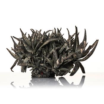 Roland Persson, "Aloe Vera".