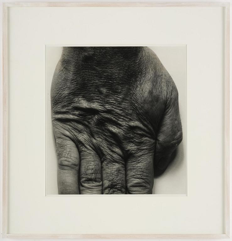 John Coplans, "Self Portrait (Standing Hand)", 1987.