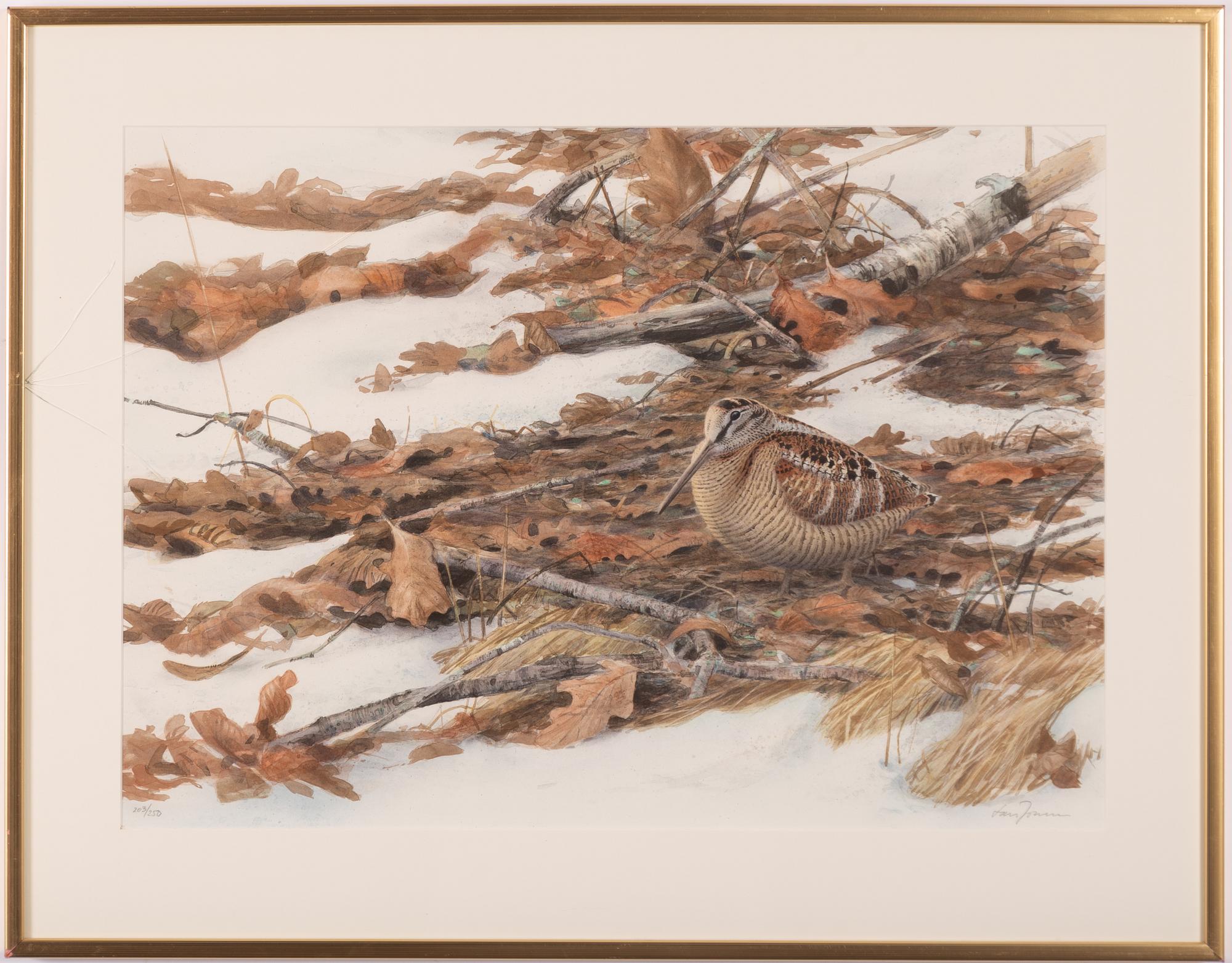 Lars Jonsson, Woodcock in a Spring Winter Landscape.