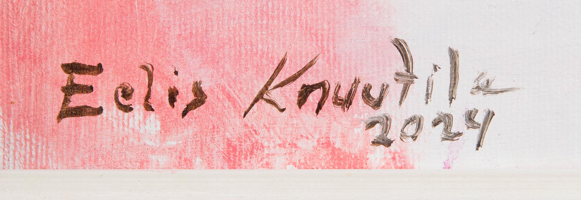 Eelis Knuutila, "Haaveilija".