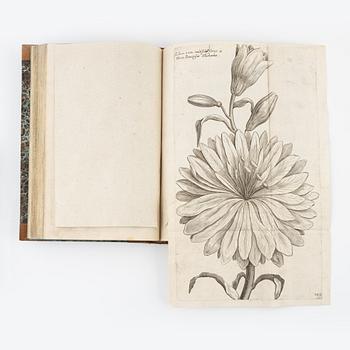 Beautiful botanical work with 177 engravings, 1641 (-44).