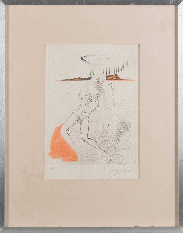 Colour etching, signed and numbered 13/145.