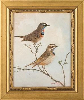 Niilo Vainio, Bluethroats.