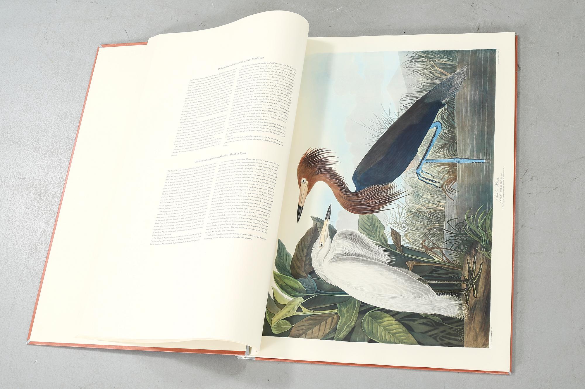 The book "The Birds of America", volume II, by John James Audubon, numbered 178/500, 1973.