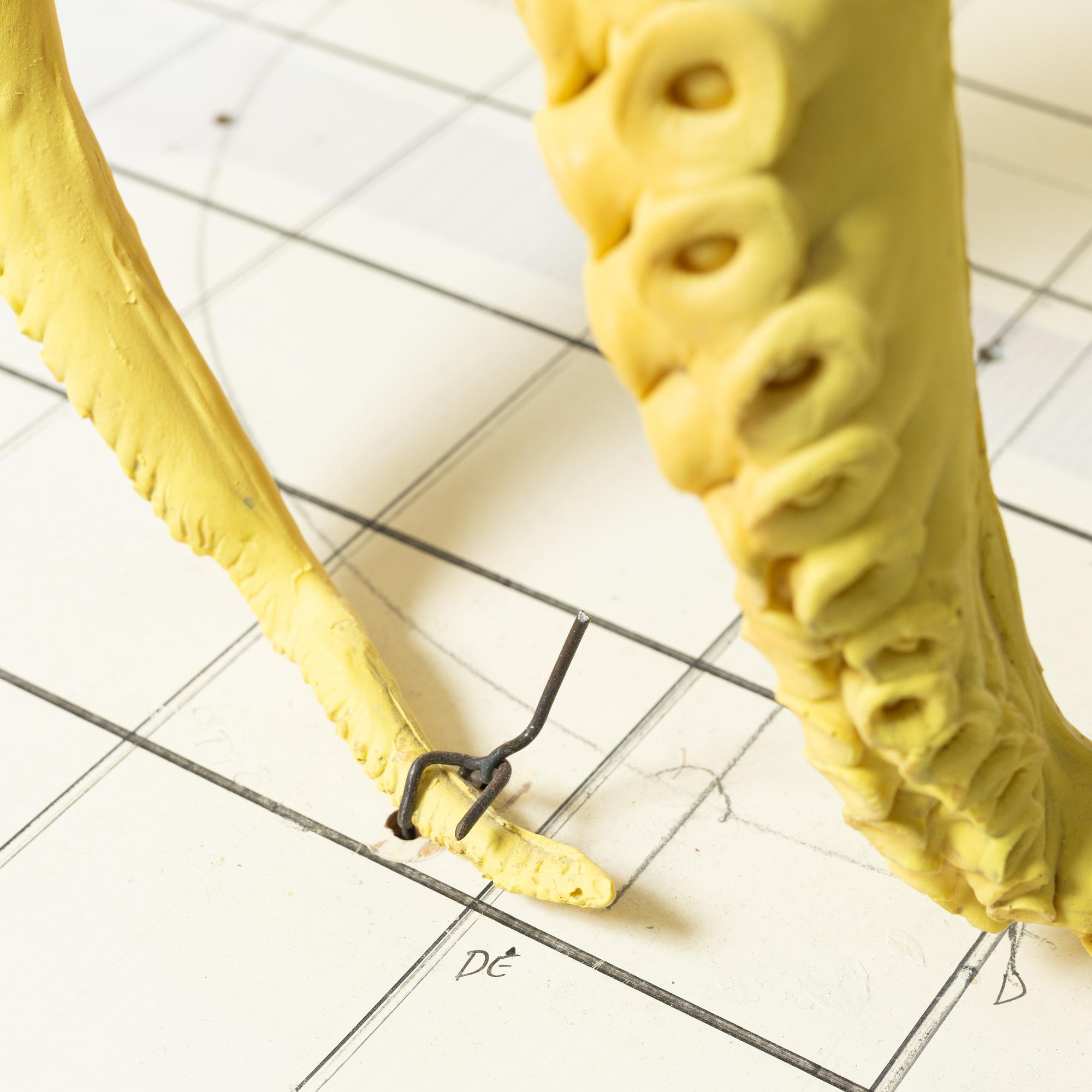 Ulf Rollof, "Model for 2008 UNDER".