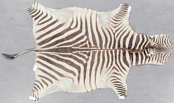 MATTA, Zebraskinn, 1900-talets första hälft, ca 150 x 266 inkl svans.