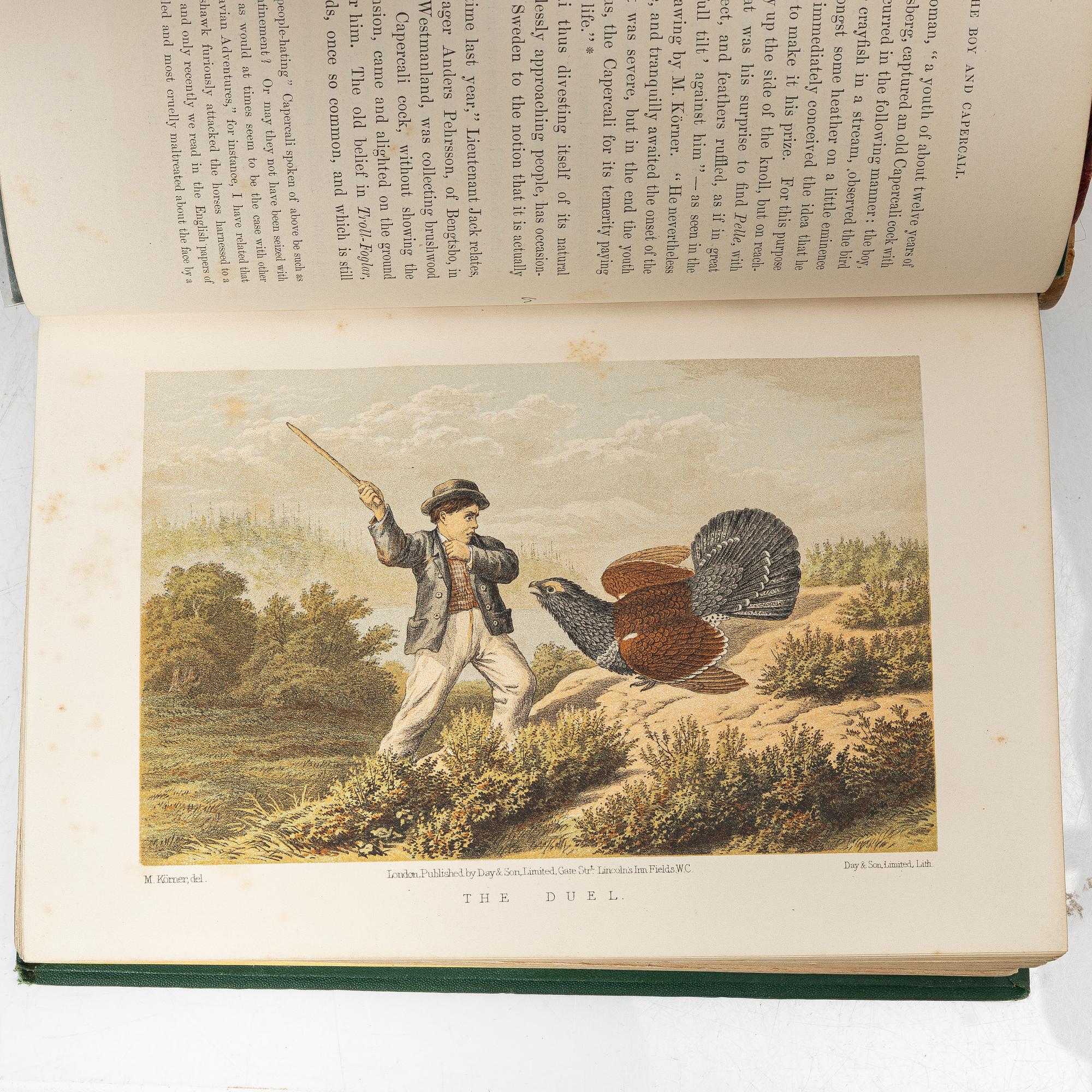 Collection of older books on hunting.