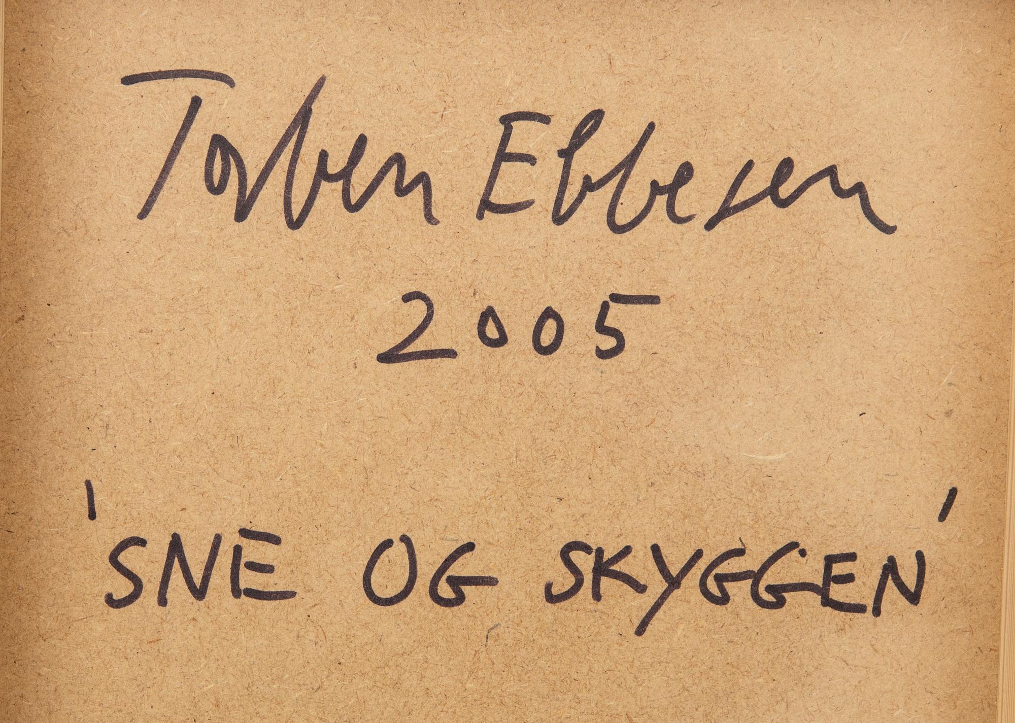 Torben Ebbesen, "Snow and the Shadow".