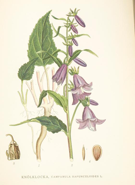 BÖCKER, 3 volymer, "Nordens flora", CAM Lindman.