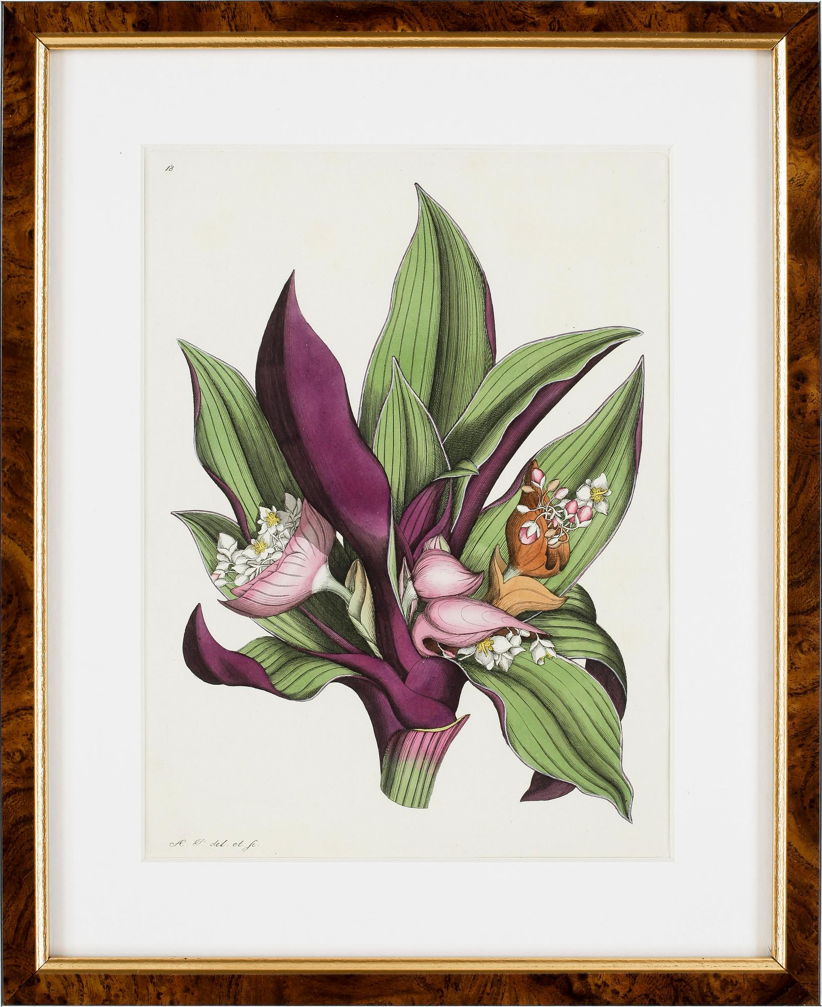 KOLORERADE GRAVYRER, 2 st, tidigt 1800-tal.