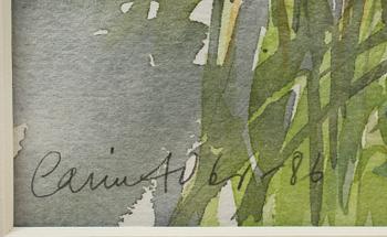 CARIN ADLER, akvarell, sign samt dat -86.