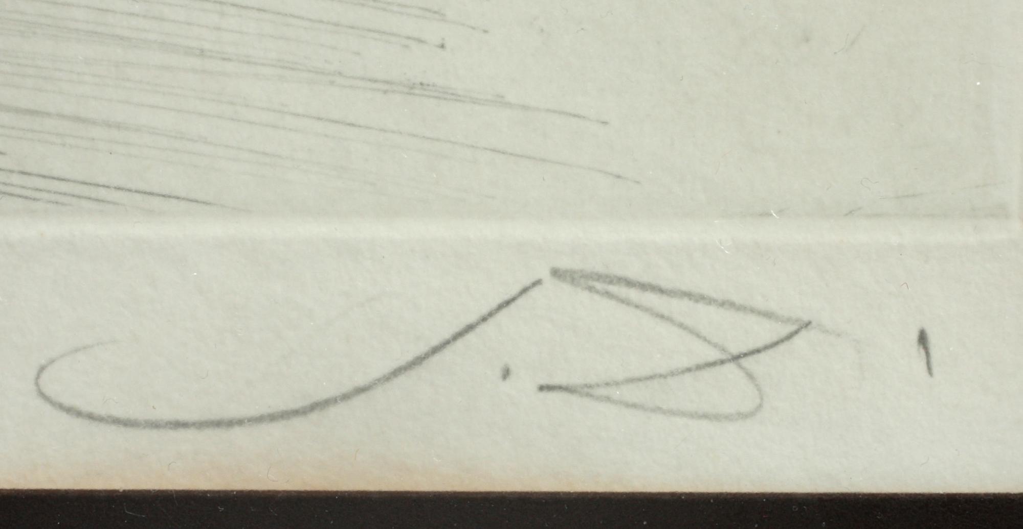 SALVADOR DALI, färgetsning, sign o numr 71/125.