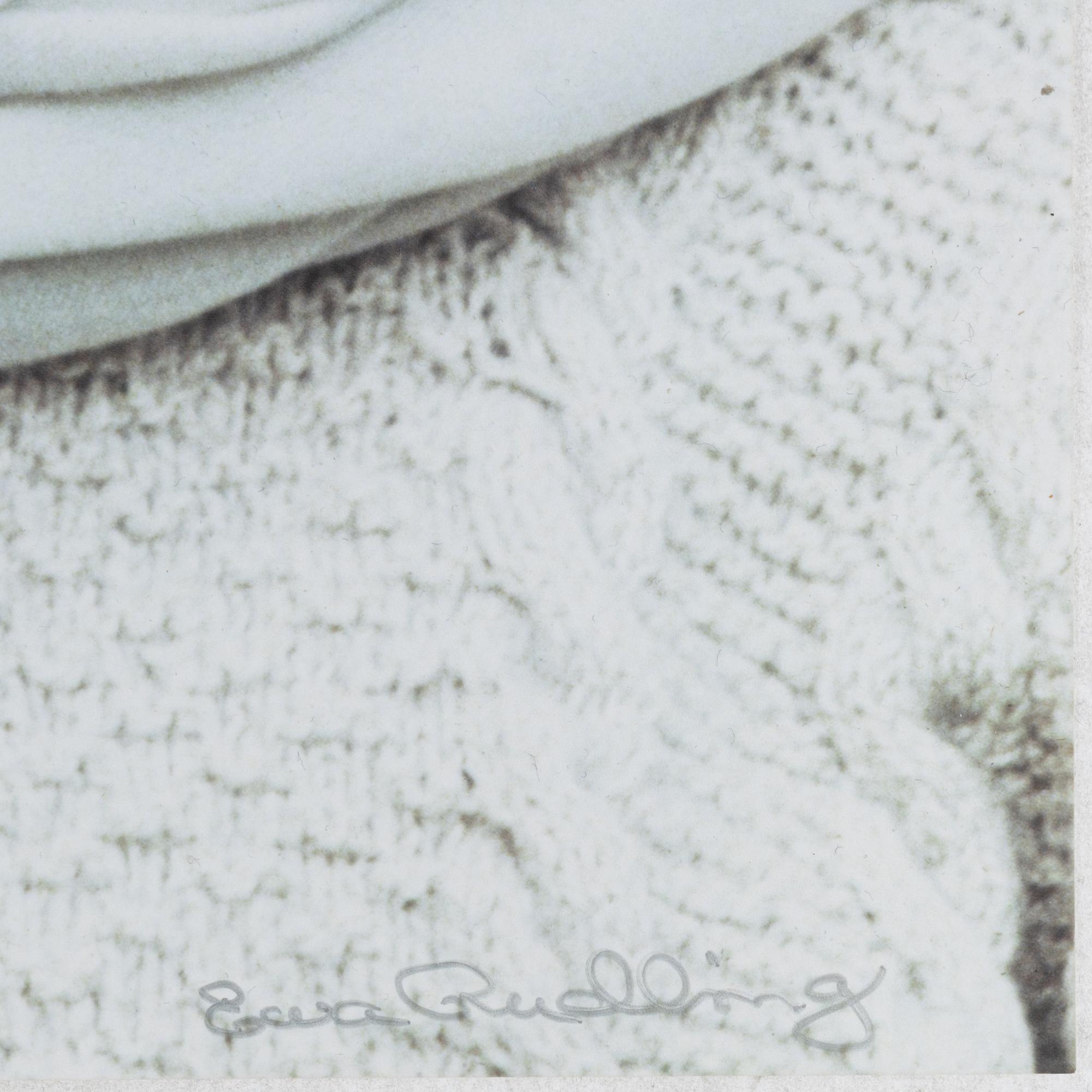 Ewa Rudling, "Andy Warhol 1977".