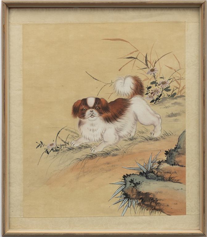 Okänd konstnär, "Hund i landskap", sen Qingdynasti/tidigt 1900-tal.