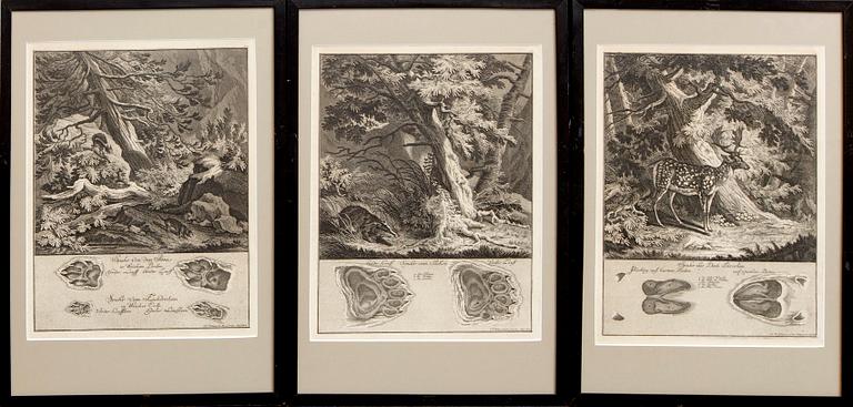 Johann Elias Ridinger, six copper engravings, Germany 18th Century.
