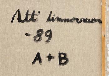 Antti Linnovaara, Untitled, diptych.