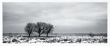 216. Pentti Sammallahti, "SAARENMAA, VIRO".