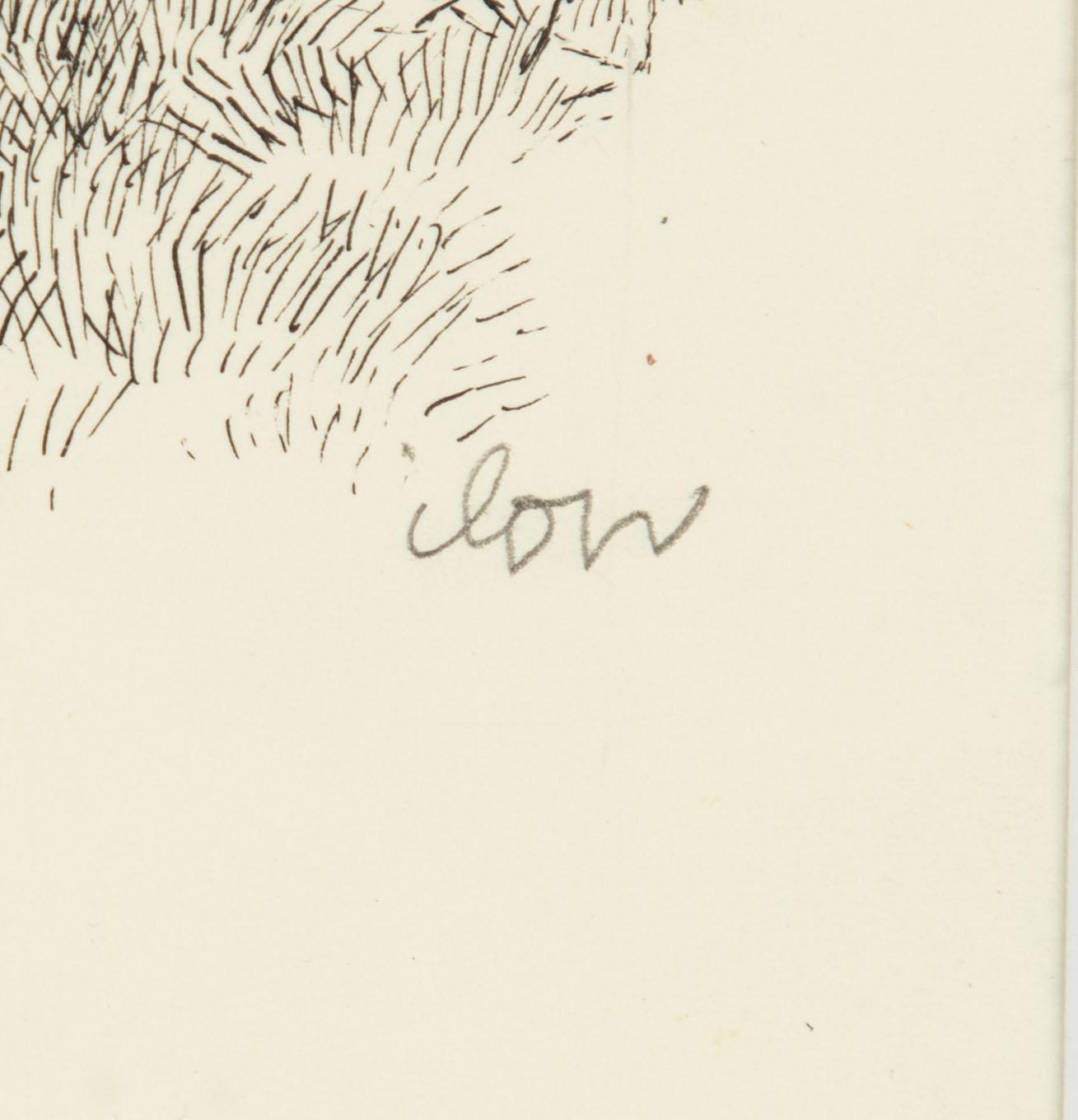 Ilon Wikland, Sagohäst.