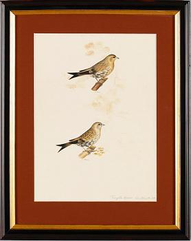 TRYCK, 3 st, 1900-/2000-tal.