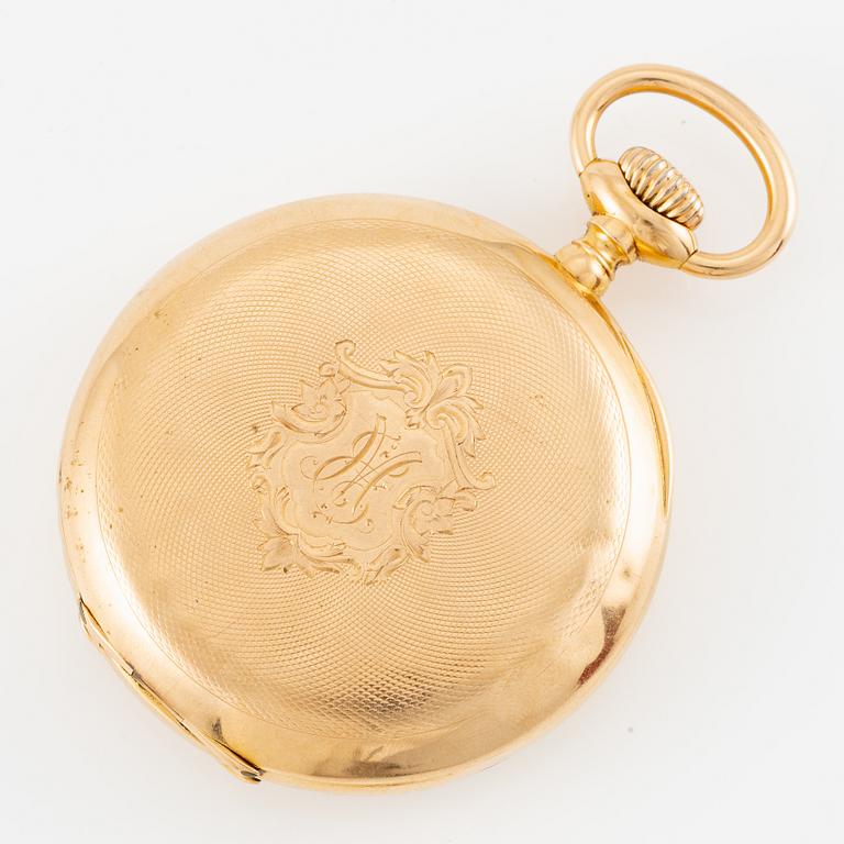 Omega, fickur, 49 mm.