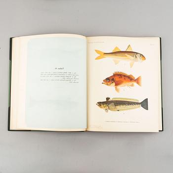 Wilhelm von Wright, "Skandinaviens fiskar", 3 volymer, Stockholm, P. A. Norstedt & Söners Förlag, 1892-95.