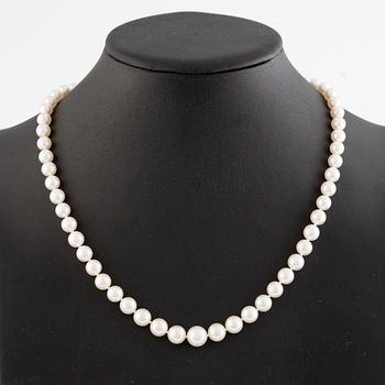 Pearl necklace, graduated cultured pearls with clasp in 18K gold.