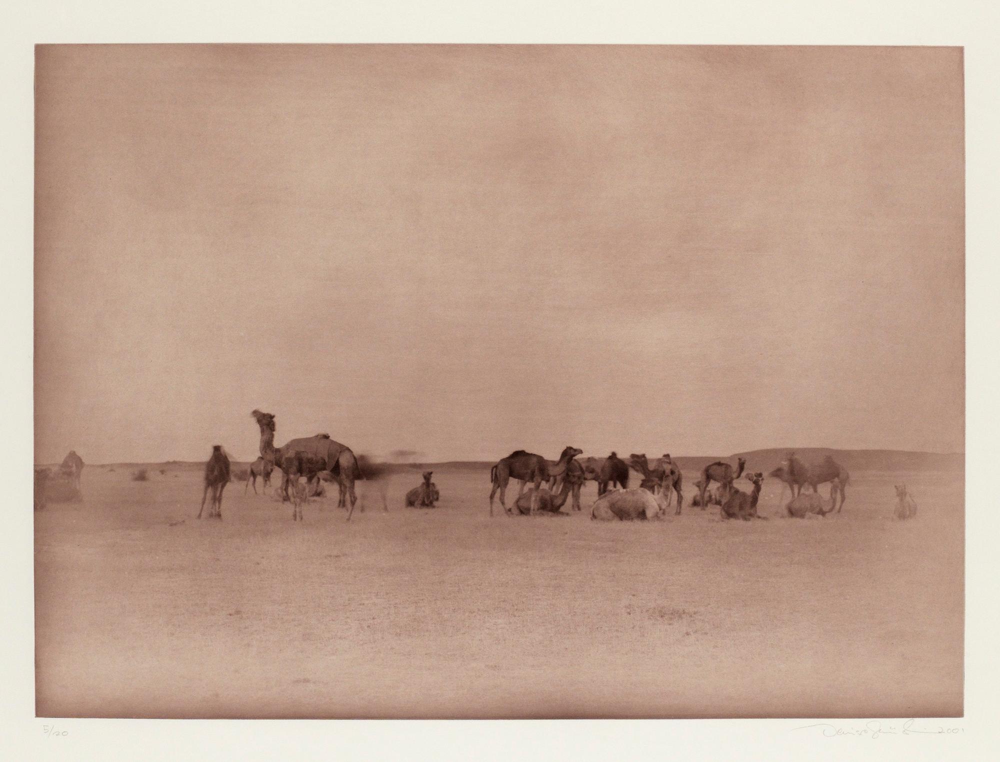 Denise Grünstein, "Jaisana".