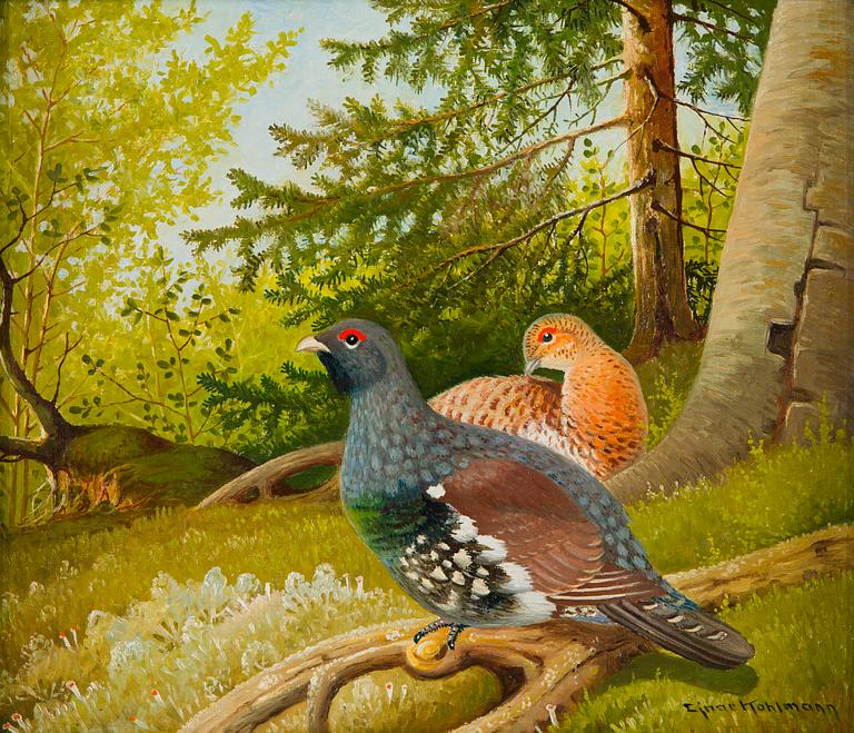 Ejnar Kohlmann, Metsälinnut.