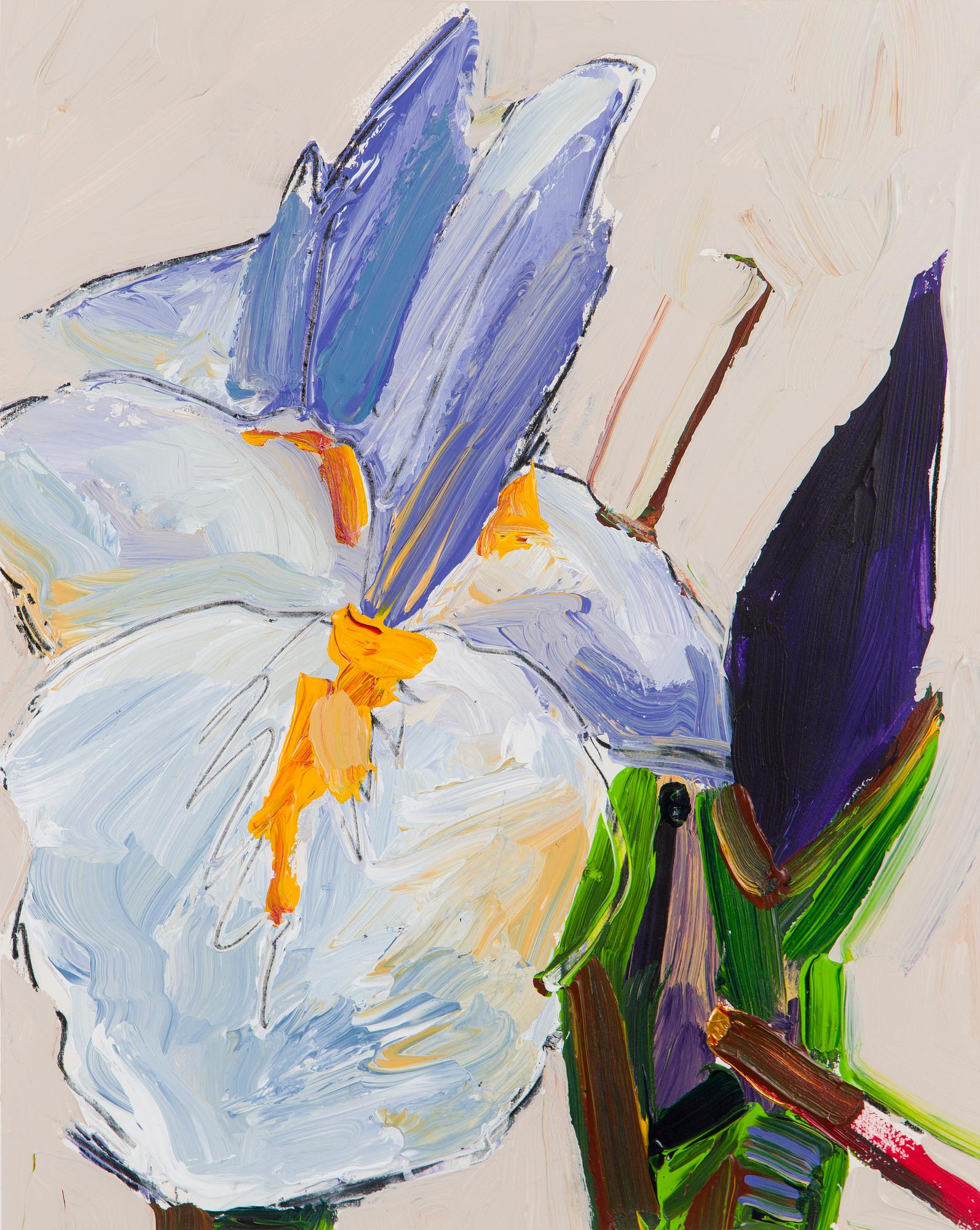 Tapani Mikkonen, "Iiris".