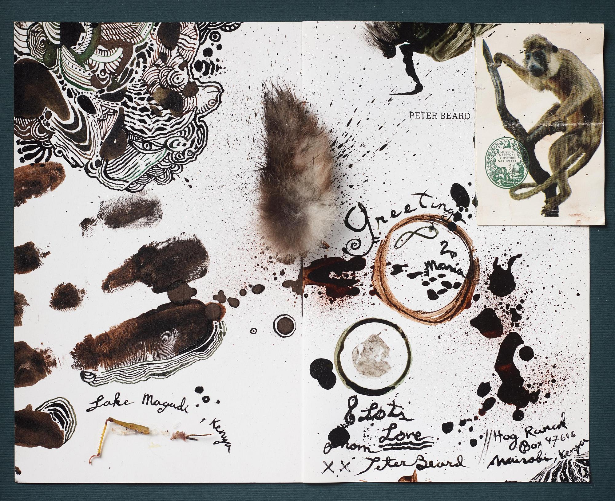 Peter Beard, "Lake Magali, Kenya".