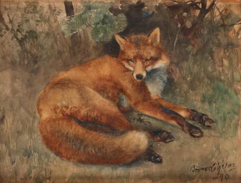 714. Bruno Liljefors, Fox resting.