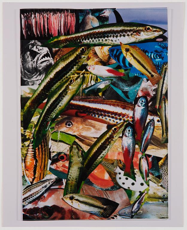 Isa Genzken, "Aquarium I" & "Aquarium II".