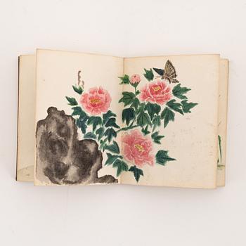 Bok, miniatyr, akvarell. Okänd konstnär, Japan, 1900.
