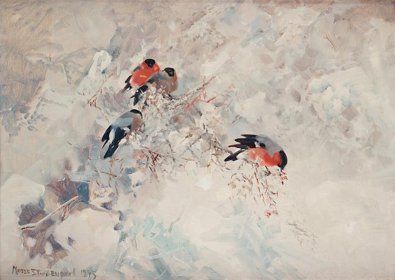 Mosse Stoopendaal, "Domherrar" (Eurasian bullfinches).