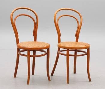 STOLAR, 2 st. Thonet, märkta. 1900-talets första hälft.