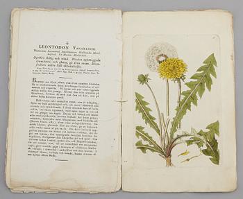 JOHAN WILHELM PALMSTRUCH, "Svensk Botanik, vol I-V. 1803-1805.