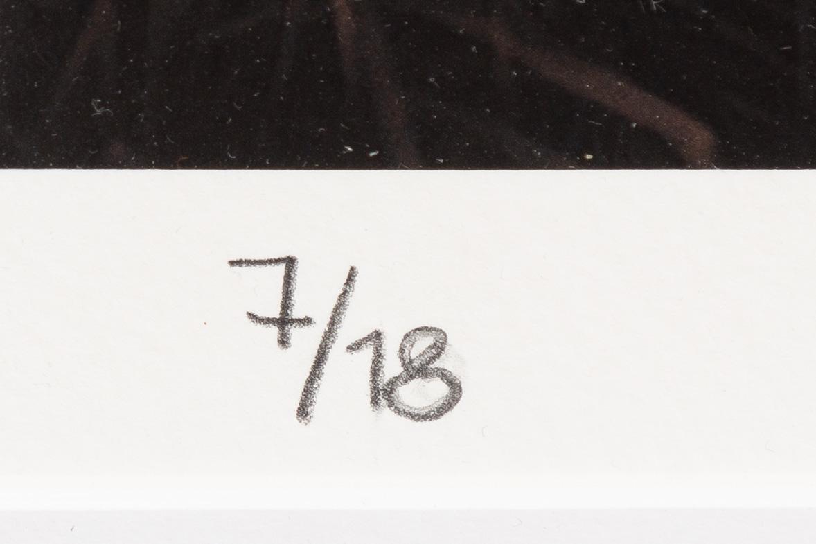 Bingo Rimér, Victoria Zorn.