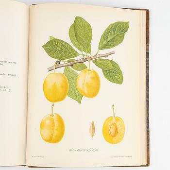 Gustaf Lind, bokverk, "Svensk frukt", samt Axel Pihl & Jakob Eriksson "Svenska Fruktsorter".